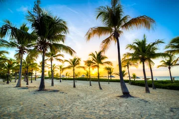 Photo sur Plexiglas Caraïbes isole caraibiche di polinesia con palme e tramonto