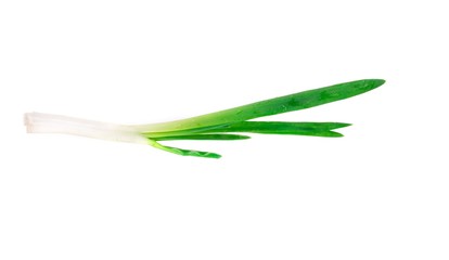 Fototapeta premium Green onion.