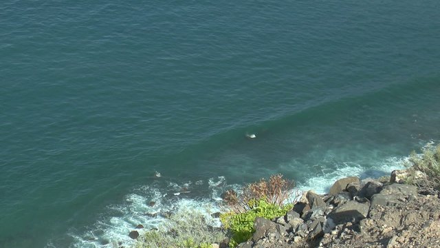 los gigantes