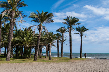Fototapeta premium Costa del Sol, Palmen am Strand