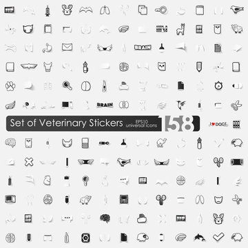 Set of veterinary stickers