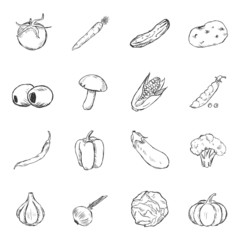 Vector Set of Sketch Vegetables Icons.