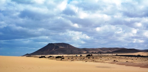 Fototapeta na wymiar Dunes of Corralejo, Fuerteventura, Canary Islands, Spain