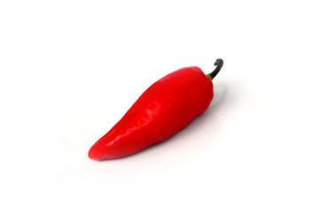 Red chili pepper photo