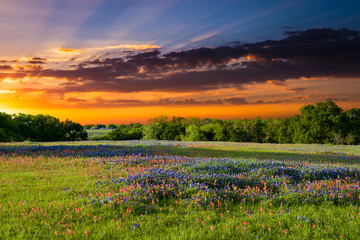 Sunset on Sugar Ridge Road, Ennis, TX