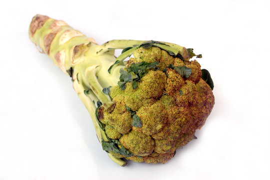 Broccoli vegetable image showing the side and top