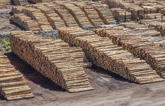 Lumber Yard