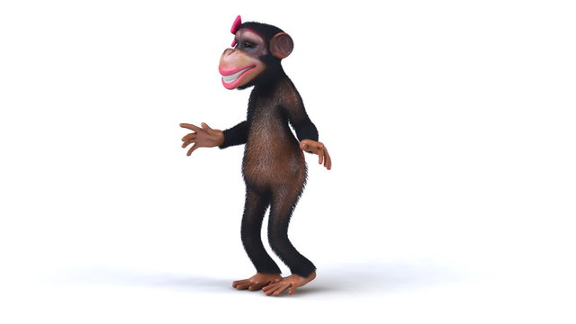 Fun monkey