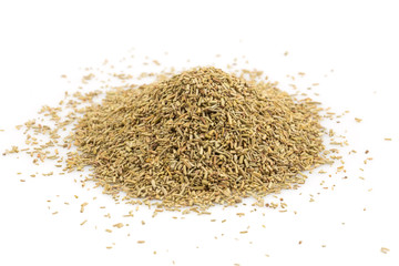 Rosemary spice herb closeup on white