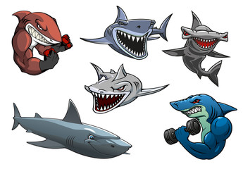 Angry grey, white and hammerhead sharks cartoon characters - obrazy, fototapety, plakaty