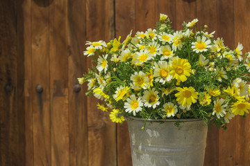 Blumenstrau&szlig; aus Margeriten