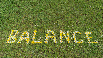 Wort BALANCE aus Blüten im Gras