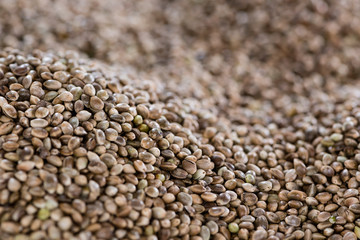 Hemp Seed background