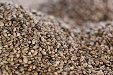 Hemp Seed background