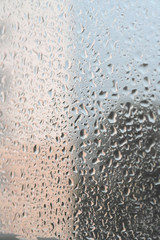 On a summer raining day