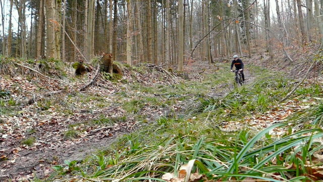 Mountainbiker fährt bergab im Wald auf einem Singletrail