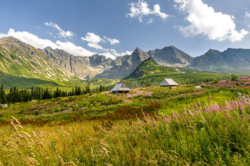 Polish Tatra mountains Hala Gąsienicowa