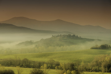 Fototapeta premium Tuscan Hills