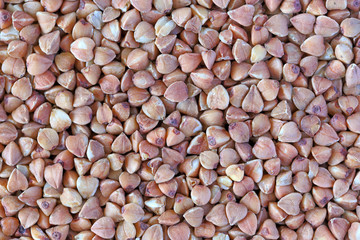 buckwheat