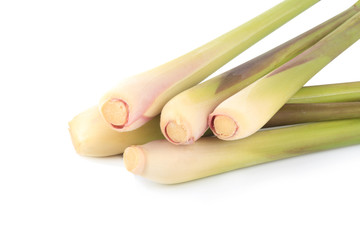 Fresh Lemon Grass on white background