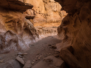 Crack Canyon Narrows