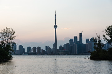 Fototapeta premium Toronto skyline