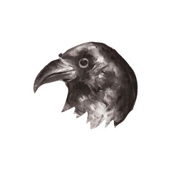 Illustration of hand drawn raven portrait