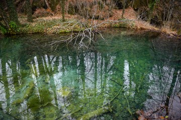 Small Pond at Plitvice lakes national park