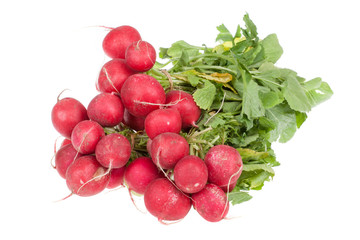Fresh red radish isolated on white background