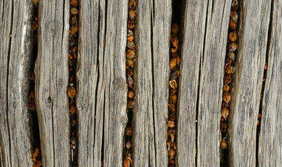 Closeup photo of wooden floor panels