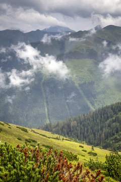 View from Grzes in high mountain to paths in the forest