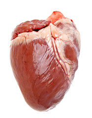 Pig heart on a white background