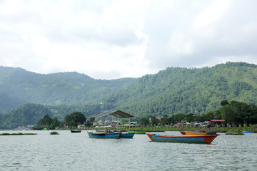 Boats in Phewa Lake