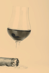 Beautiful cognac with cuban cigar on white background