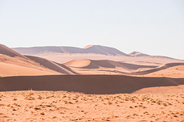 Plakat Wüste