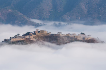 Fototapeta premium 雲海に浮かぶ竹田城跡