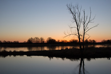 Sonnenaufgang im Oderbruch