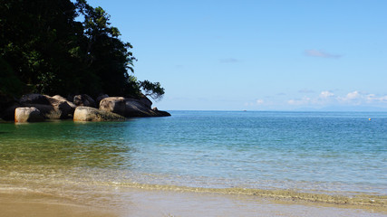 Obraz premium wild seychelles
