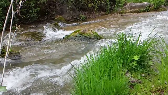 River landscape en slow motion