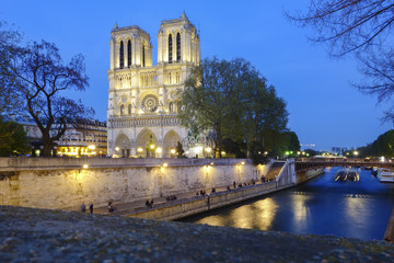 Fototapeta na wymiar Notre Dame de Paris in the evening, Paris, France