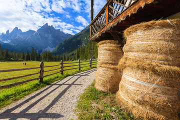 Stable in green alpine valley in Dolomites Mountains, Italy - obrazy, fototapety, plakaty