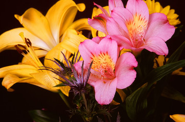 Yellow and Pink Floral Arrangement