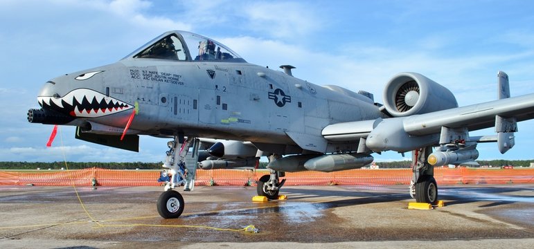 A-10 Warthog/Thunderbolt Jet