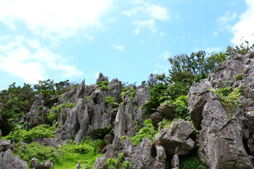 沖縄の岩山