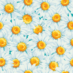 Floral seamless pattern with daisies