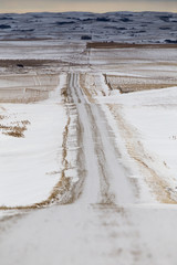 Prairie Landscape in winter