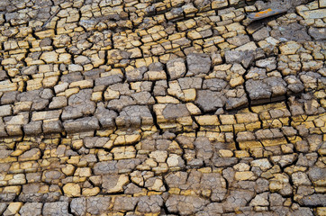 Arid lands. global warming