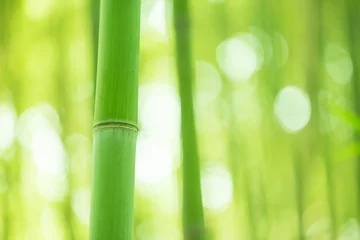 Stickers pour porte Bambou La forêt de bambous, la forêt de bambous en Chine a un symbo culturel spécial