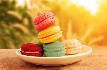 Colorful Macarons with outdoor style