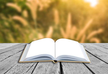Open book with nature grass field background